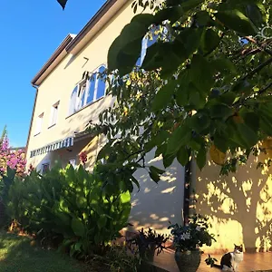 Bozica House With Murine
